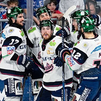 Gehen mit einer 1:0-Serienführung ins zweite Spiel: die Eisbären Berlin. / Foto: Uwe Anspach/dpa