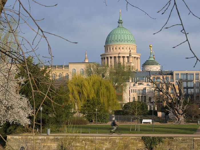 Der DWD erwartet kaum Regen in den nächsten Tagen. (Archivbild) / Foto: Michael Bahlo/dpa