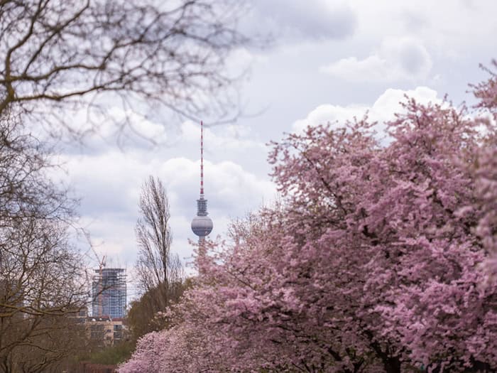 Das Wetter bleibt wechselhaft. (Archivbild) / Foto: Christophe Gateau/dpa