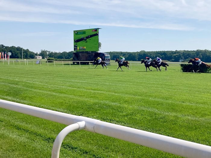 Am Ostersonntag steht die Saisonpremiere auf der Galopprennbahn Hoppegarten an. (Archivbild) / Foto: Arne Richter/dpa