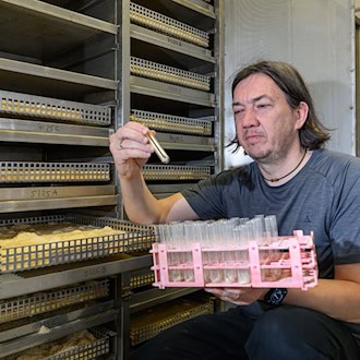 Der Hausbock fühlt sich besonders bei Wärme wohl und befällt oft Dachstühle, erklärt Thomas Kolling von Materialprüfanstalt Brandenburg GmbH (MPA).  / Foto: Patrick Pleul/dpa