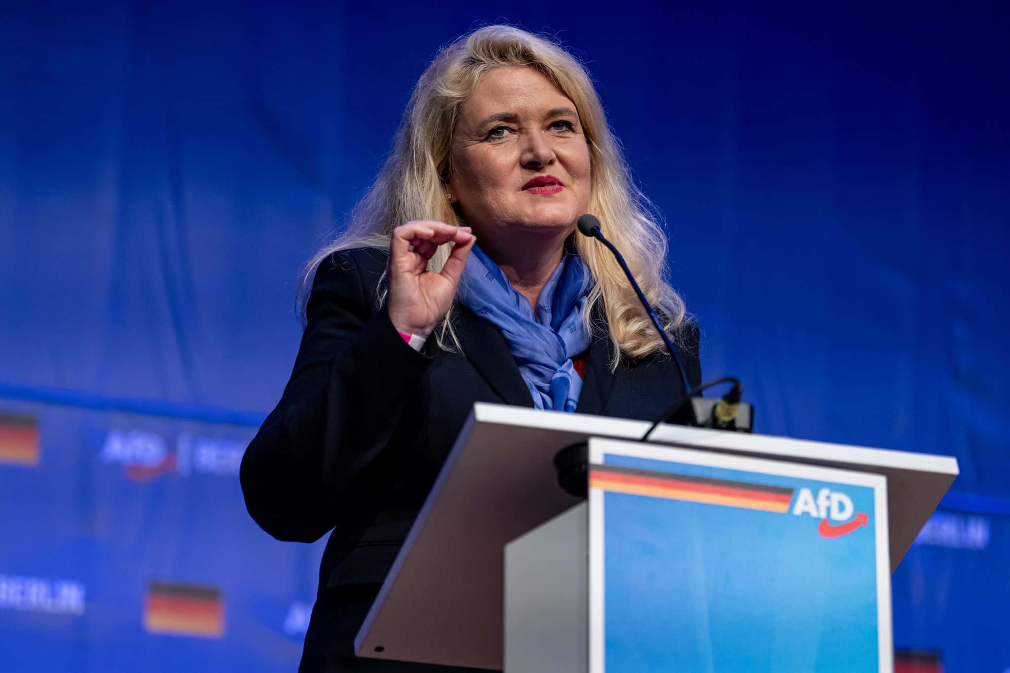 afd-berlin-kristin-brinker-kandidiert