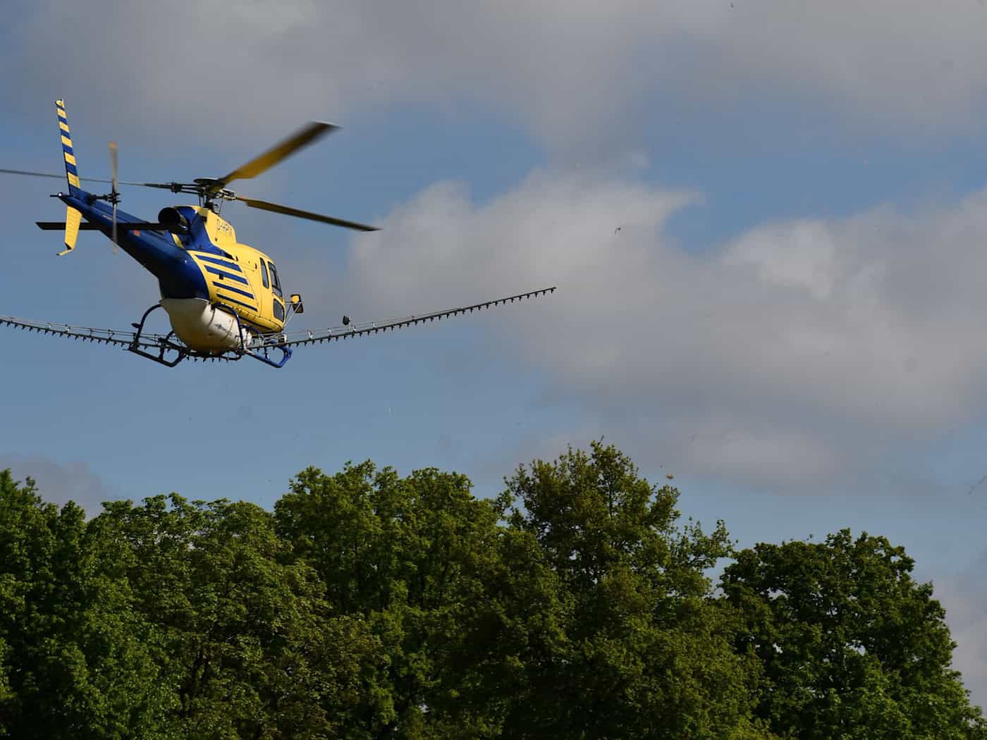 Im Landkreis Prignitz hebt ein Hubschrauber mit Spritzmittel im Einsatz gegen den Eichenprozessionsspinner ab.  / Foto: Bernd Atzenroth/Landkreis Prigitz/dpa