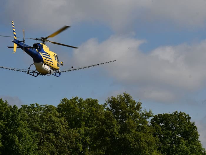 Im Landkreis Prignitz hebt ein Hubschrauber mit Spritzmittel im Einsatz gegen den Eichenprozessionsspinner ab.  / Foto: Bernd Atzenroth/Landkreis Prigitz/dpa