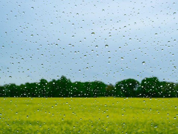 Schauer und Gewitter klingen zum Ende der Woche hin ab. Dabei winken Temperaturen von bis zu 26 Grad. (Symbolbild) / Foto: Patrick Pleul/dpa