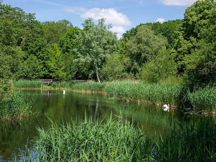 In Berlin und Brandenburg wird es am Freitag noch einmal sonnig. / Foto: Soeren Stache/dpa/ZB