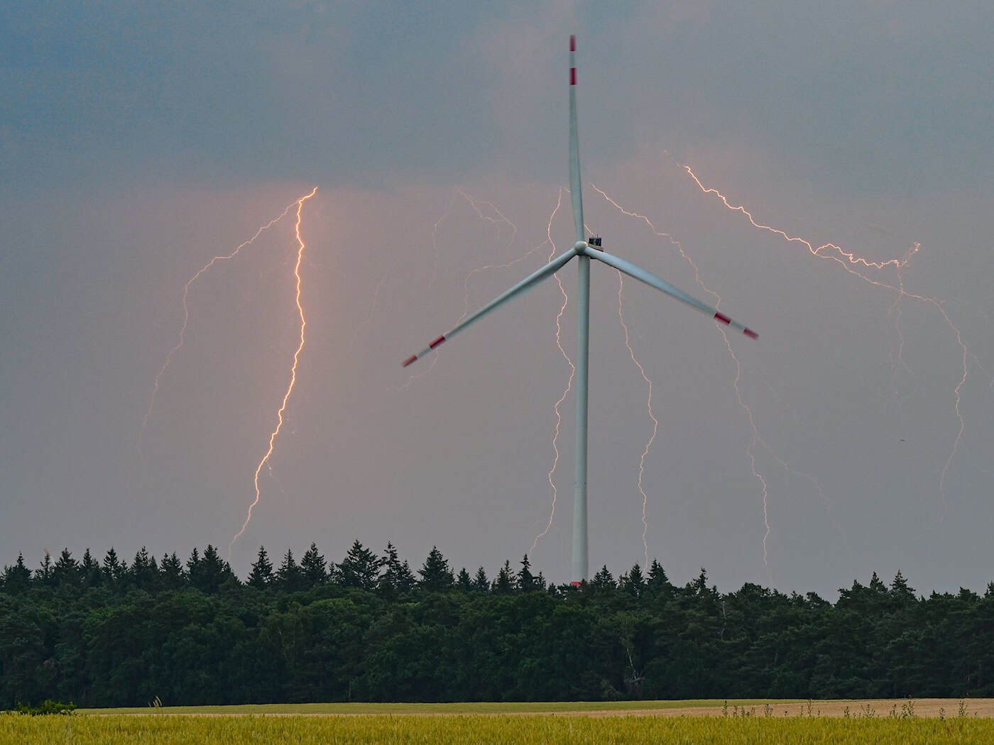 Die Temperaturen liegen bis einschließlich Mittwoch tagsüber bei maximal 22 Grad und in den beiden kommenden Nächten zwischen 4 und 10 Grad. (Symbolbild) / Foto: Patrick Pleul/dpa