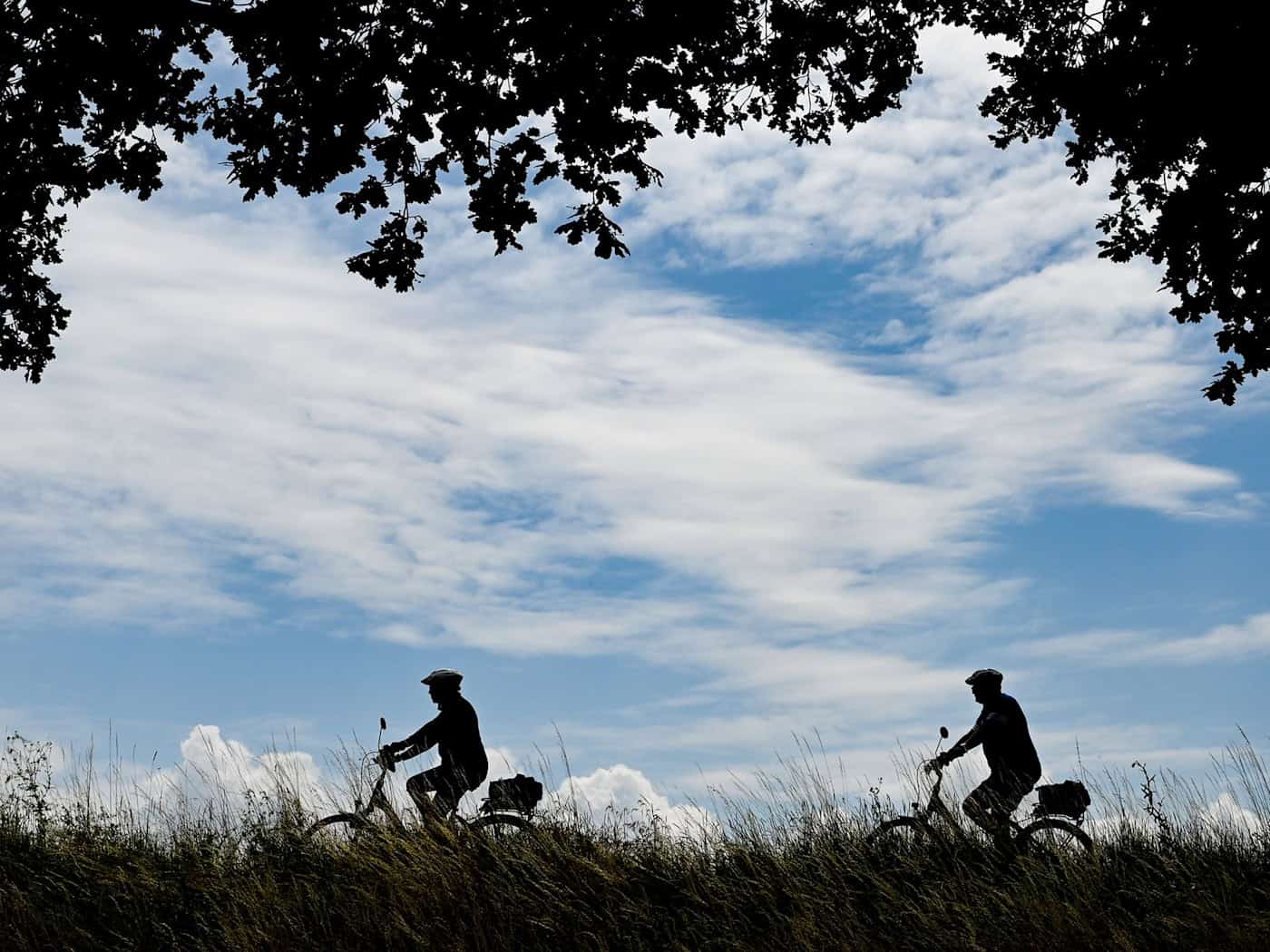 Mehrere Kilometer Radweg werden in Brandenburg saniert. (Symbolbild) / Foto: Patrick Pleul/dpa-Zentralbild/dpa