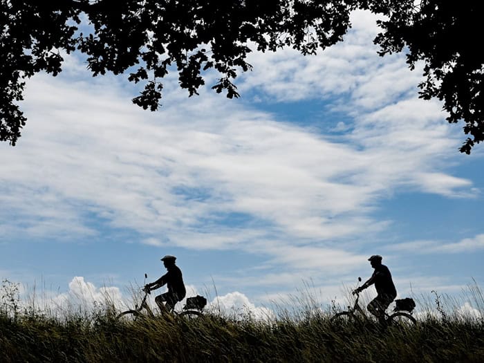 Mehrere Kilometer Radweg werden in Brandenburg saniert. (Symbolbild) / Foto: Patrick Pleul/dpa-Zentralbild/dpa