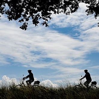 Mehrere Kilometer Radweg werden in Brandenburg saniert. (Symbolbild) / Foto: Patrick Pleul/dpa-Zentralbild/dpa