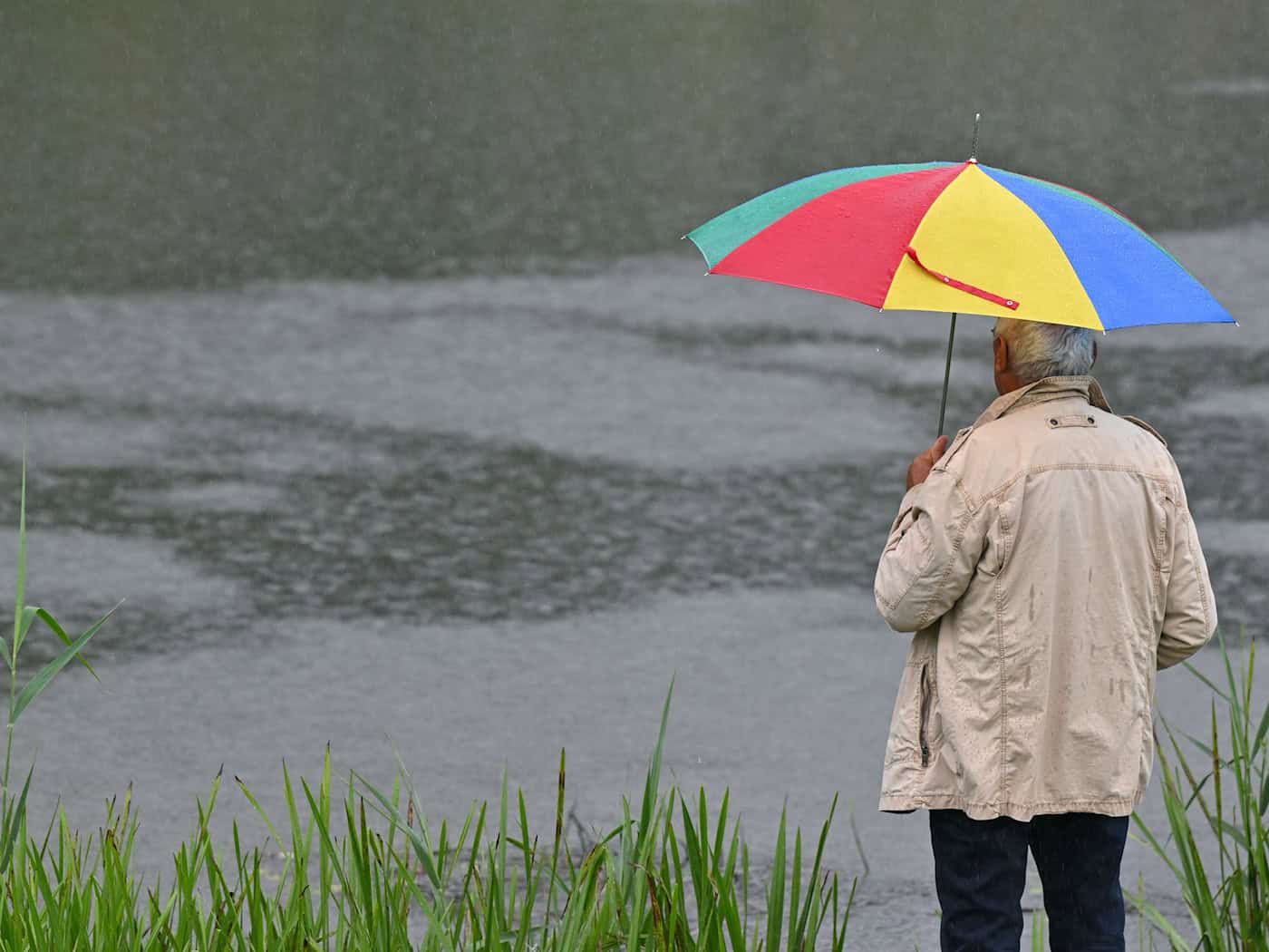 Von Starkregen spricht man, wenn in kurzer Zeit viel Regen fällt. (Symbolbild) / Foto: Patrick Pleul/dpa