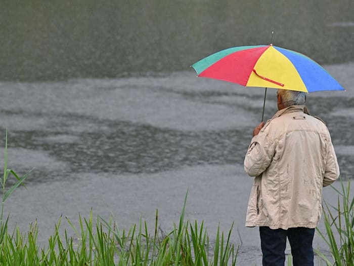 Von Starkregen spricht man, wenn in kurzer Zeit viel Regen fällt. (Symbolbild) / Foto: Patrick Pleul/dpa