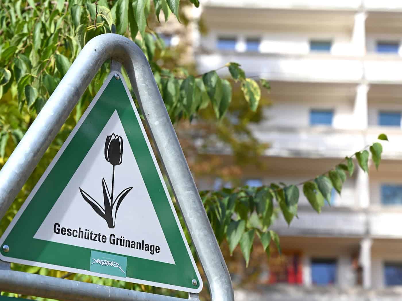 Der Verein BaumEntscheid fürchtet Verzögerungen bei der Umsetzung des Berliner Klimaanpassungsgesetzes. (Archivbild) / Foto: Elisa Schu/dpa