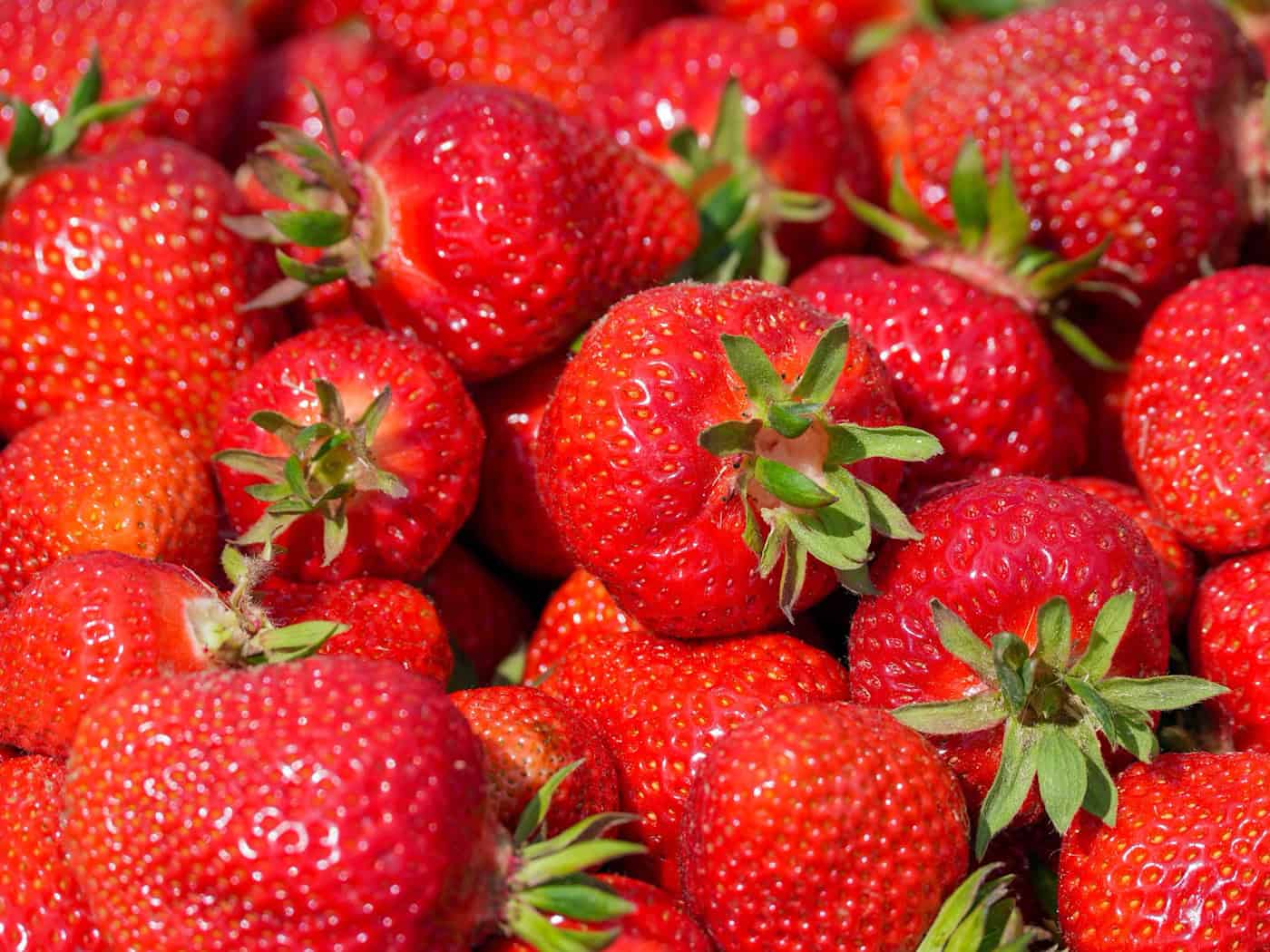 Erdbeeren verschwunden: Was wollen die Diebe gleich mit mehreren Kisten und warum blieb ein Teil der begehrten Früchte auf einem Parkplatz zurück? (Symbolbild) / Foto: Soeren Stache/dpa