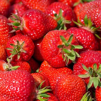 Erdbeeren verschwunden: Was wollen die Diebe gleich mit mehreren Kisten und warum blieb ein Teil der begehrten Früchte auf einem Parkplatz zurück? (Symbolbild) / Foto: Soeren Stache/dpa