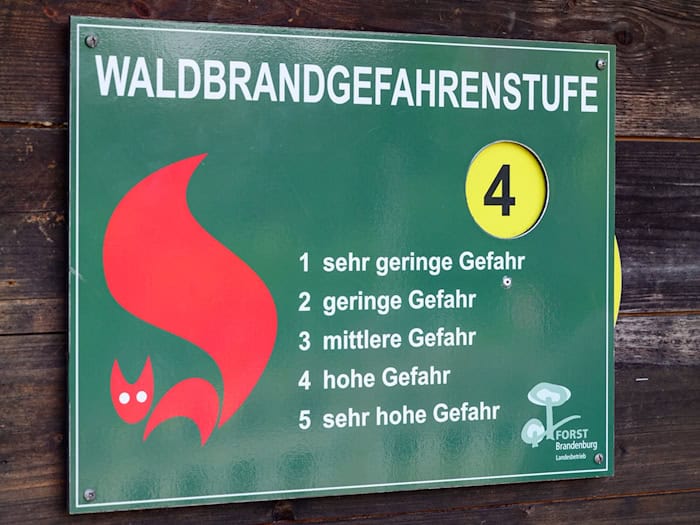 In den meisten Kreisen gilt aktuell die vierte Waldbrandwarnstufe. (Archivbild) / Foto: Patrick Pleul/dpa