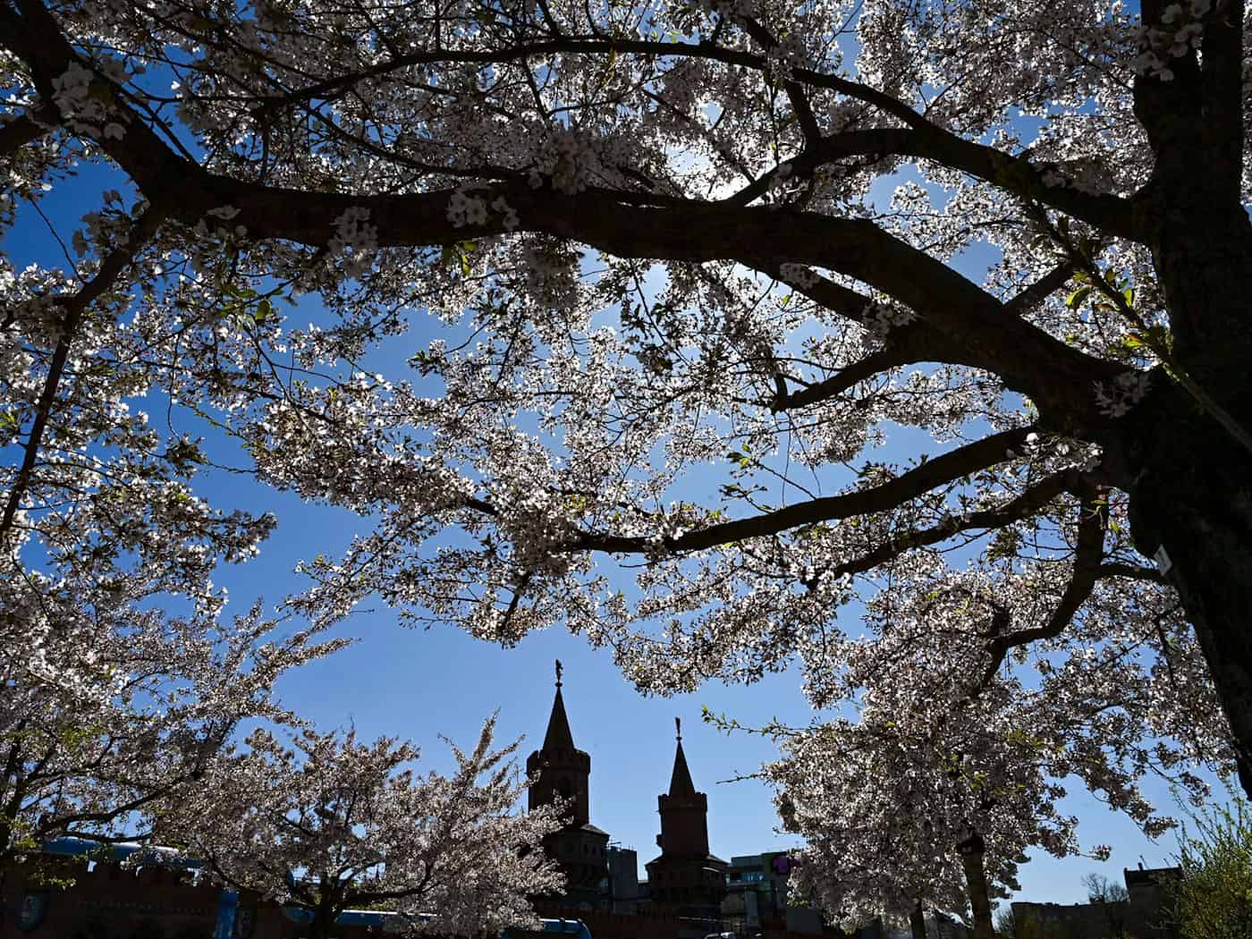 In der Hauptstadt war das Frühjahr deutlich sonniger als in vielen anderen Jahren. (Archivbild) / Foto: Jens Kalaene/dpa