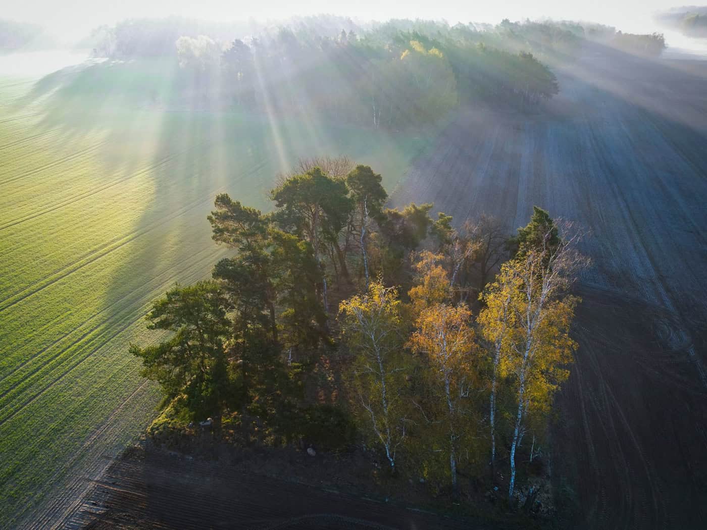 In Brandenburg schien sie Sonne im Frühling viele Stunden. (Archivbild) / Foto: Patrick Pleul/dpa