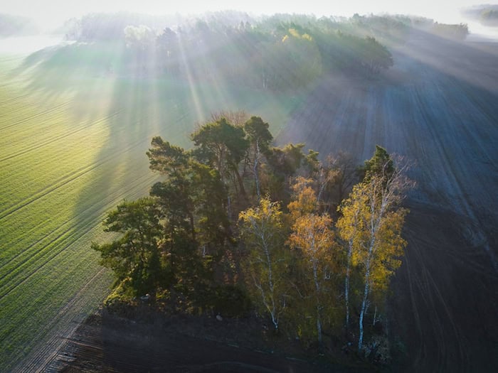 In Brandenburg schien sie Sonne im Frühling viele Stunden. (Archivbild) / Foto: Patrick Pleul/dpa