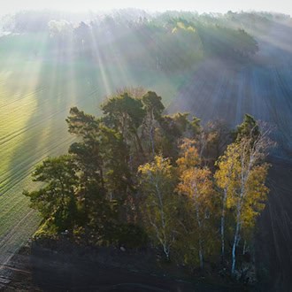 In Brandenburg schien sie Sonne im Frühling viele Stunden. (Archivbild) / Foto: Patrick Pleul/dpa