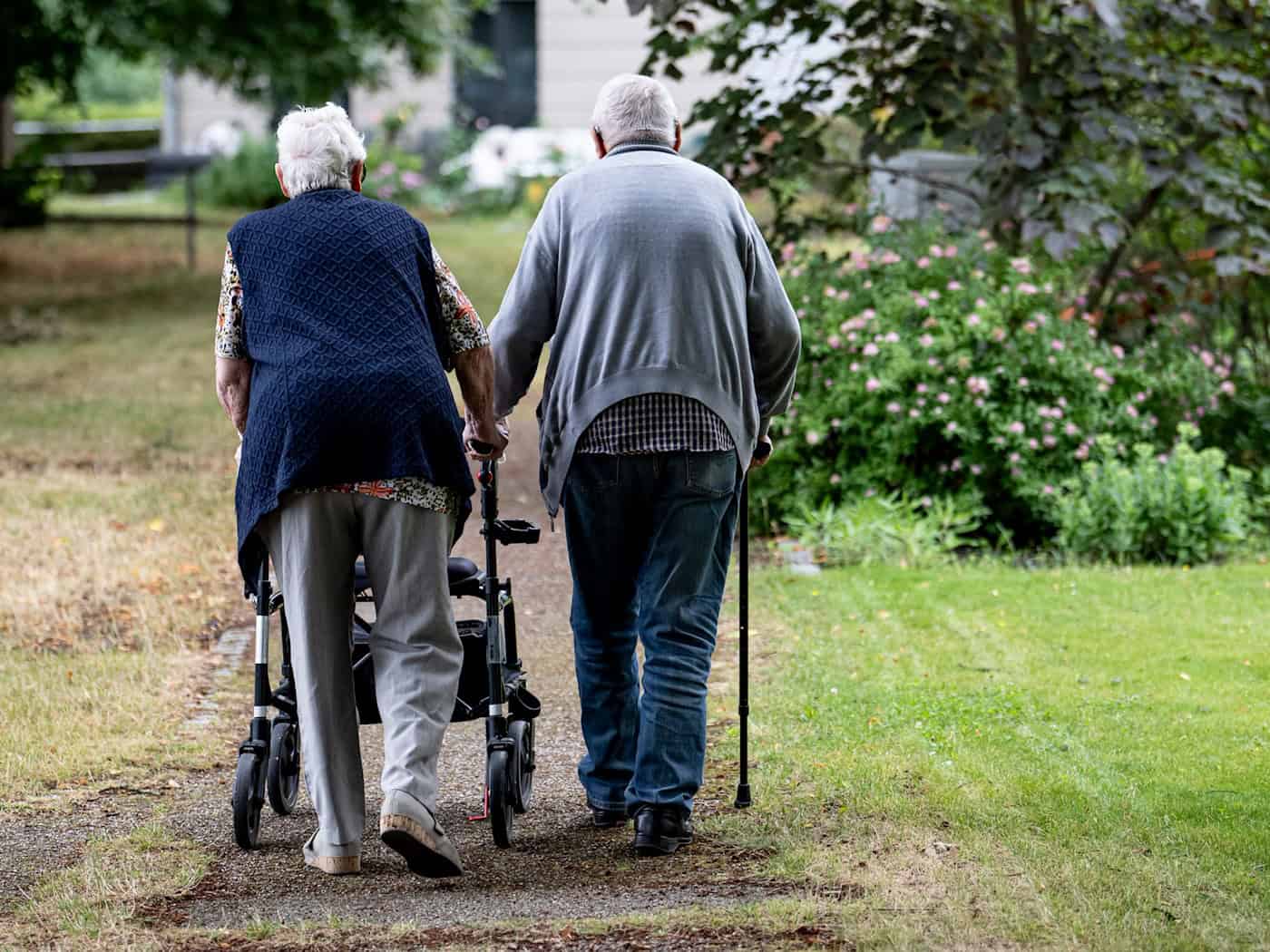 Die Brandenburgische Seniorenwoche steht in diesem Jahr unter dem Motto «Gesellschaft braucht Erfahrung – Senioren brauchen Teilhabe». (Archivbild) / Foto: Fabian Sommer/dpa