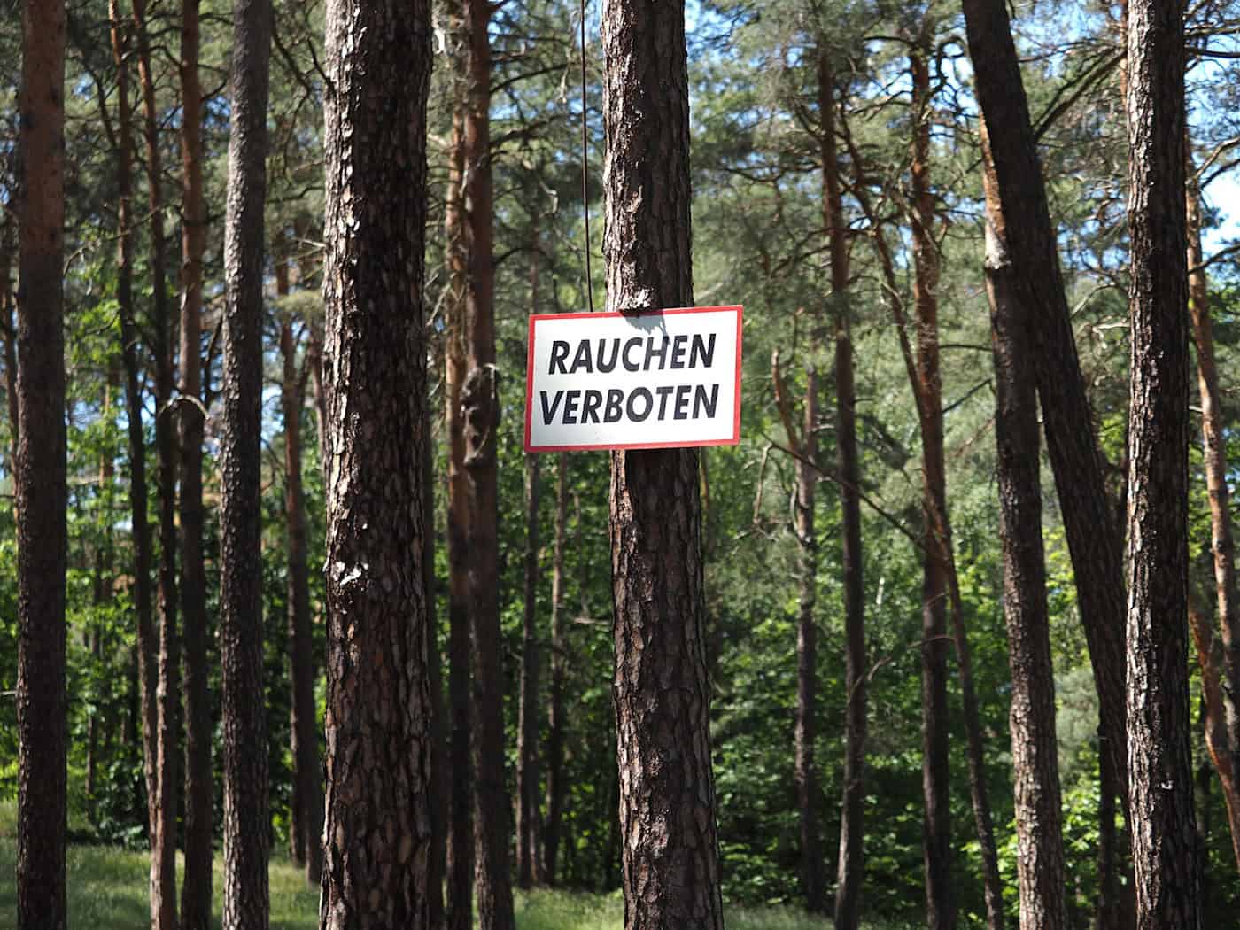 Rauchen in Brandenburgs Wäldern ist das ganze Jahr über verboten. (Archivbild) / Foto: Soeren Stache/dpa-Zentralbild/ZB