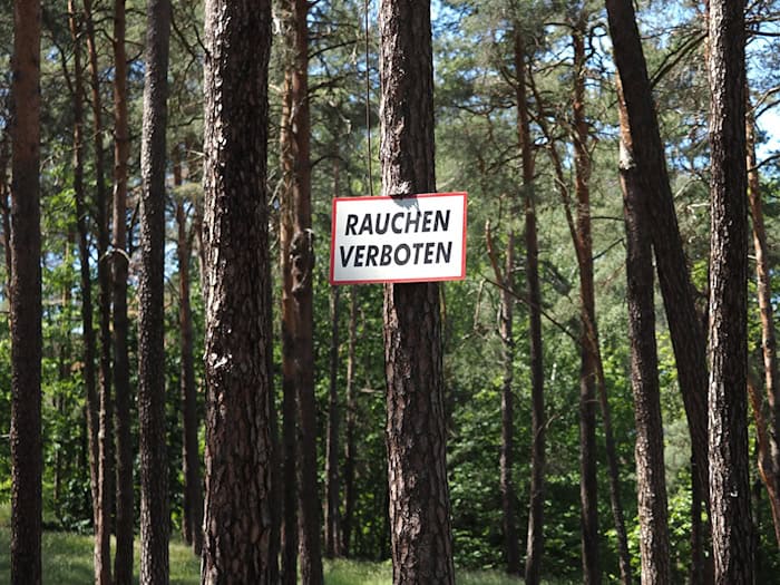 Rauchen in Brandenburgs Wäldern ist das ganze Jahr über verboten. (Archivbild) / Foto: Soeren Stache/dpa-Zentralbild/ZB