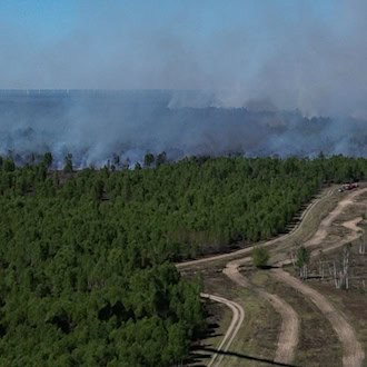Der Waldbrand bei Jüterbog brach am Freitag aus. / Foto: Manuel Genolet/dpa