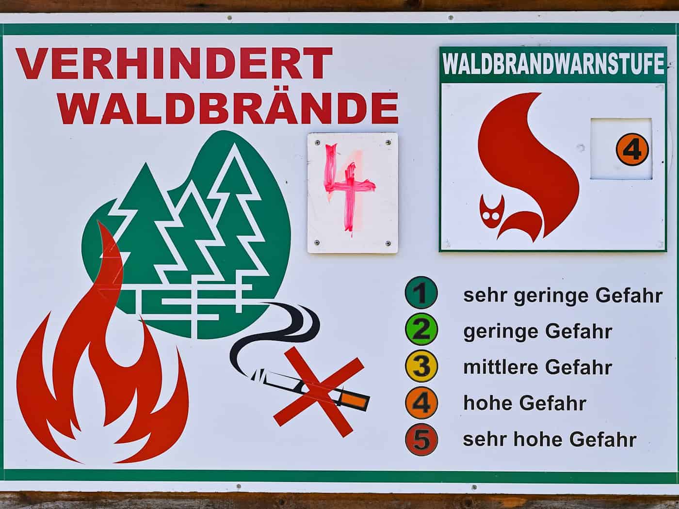 Die Waldbrandgefahr stieg zuletzt an. (Symbolfoto) / Foto: Patrick Pleul/dpa-Zentralbild/dpa