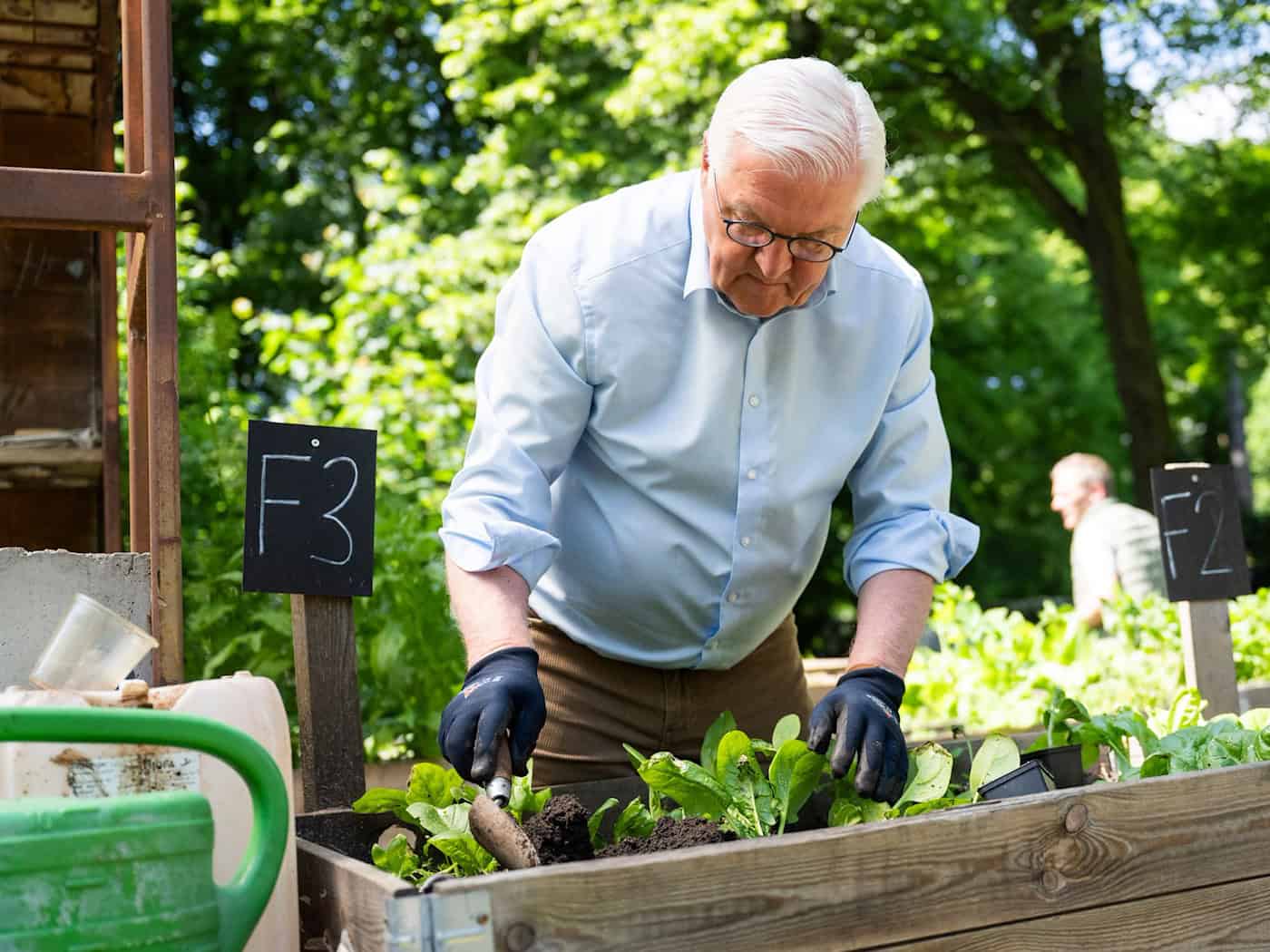 Bundespräsident Steinmeier hilft bei einem Gemeinschaftsgarten.  / Foto: Christophe Gateau/dpa