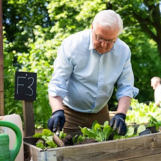 Bundespräsident Steinmeier hilft bei einem Gemeinschaftsgarten.  / Foto: Christophe Gateau/dpa