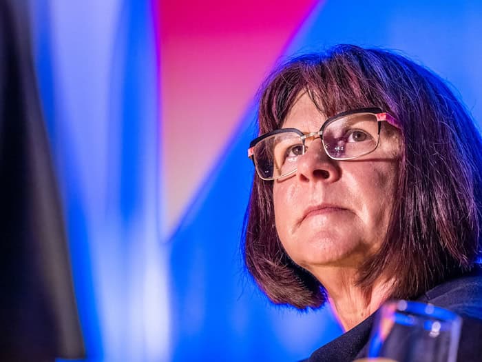 Die Kreisvorsitzende der AfD Spree-Neiße wendet sich mit einer Klage gegen die Stichwahl um das Landratsamt. (Archivbild) / Foto: Frank Hammerschmidt/dpa