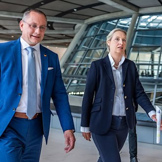 Die AfD will eine Entscheidung des Berliner Verwaltungsgerichts zu einer Parteispende nicht akzeptieren. (Archivbild)  / Foto: Michael Kappeler/dpa