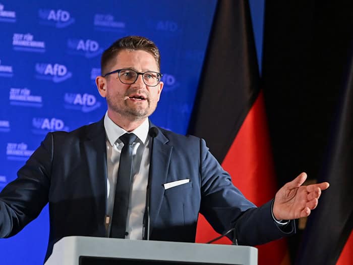 Brandenburgs AfD-Landeschef René Springer sieht in der jüngsten Umfrage eine Quittung für die SPD. (Archivbild)  / Foto: Jens Kalaene/dpa
