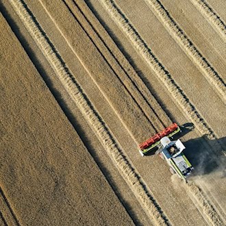 Die Ernte von Weizen und Roggen hat in Brandenburg noch nicht begonnen: Wird die große Hitze dem Getreide schaden? (Archivfoto) / Foto: Patrick Pleul/dpa