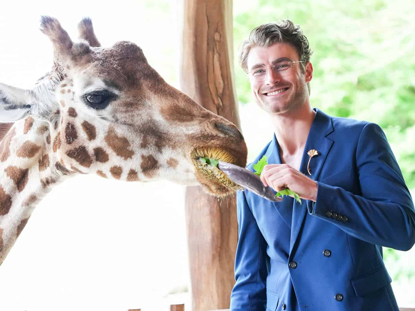Auch mit Giraffendame Paula ist Linus Weber auf Augenhöhe, aber nur von dem etwa 2,2 Meter hohen Giraffensteg aus. / Foto: Sven Kaeuler/dpa