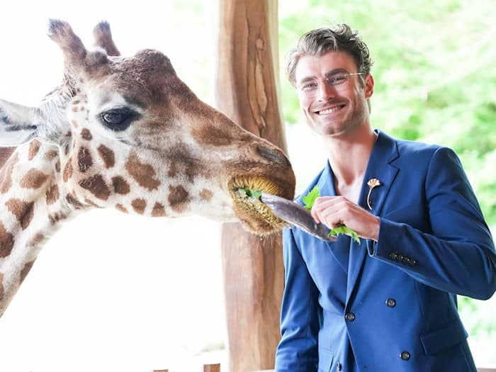Auch mit Giraffendame Paula ist Linus Weber auf Augenhöhe, aber nur von dem etwa 2,2 Meter hohen Giraffensteg aus. / Foto: Sven Kaeuler/dpa