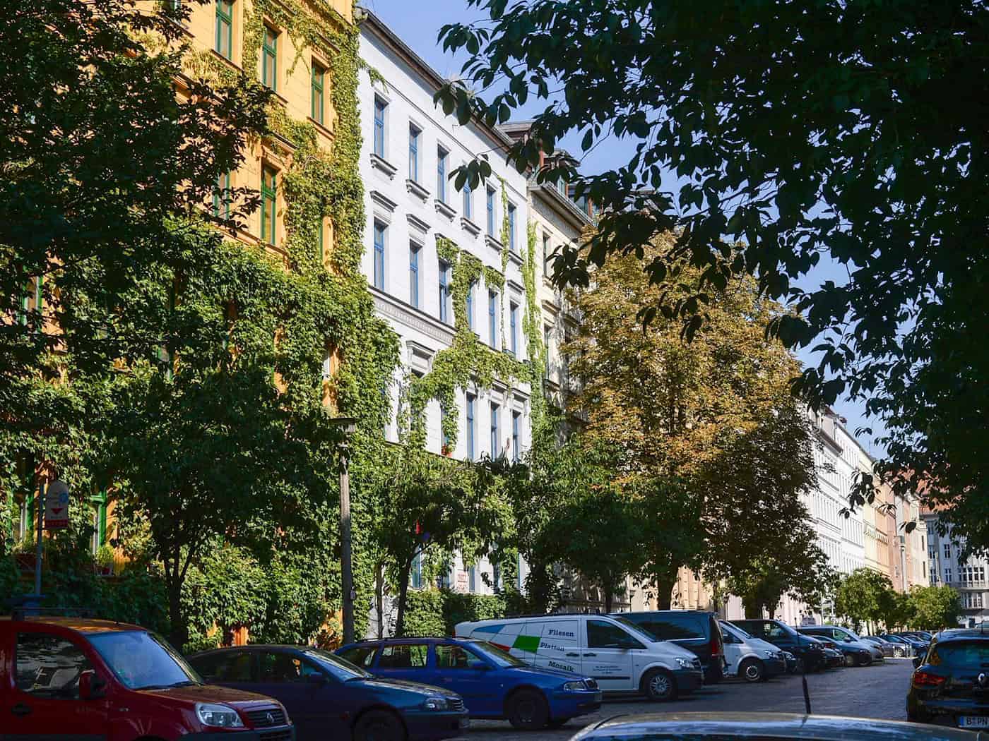 Berlins Bäume brauchen im Sommer Hilfe. (Symbolbild) / Foto: Jens Kalaene/dpa-Zentralbild/dpa