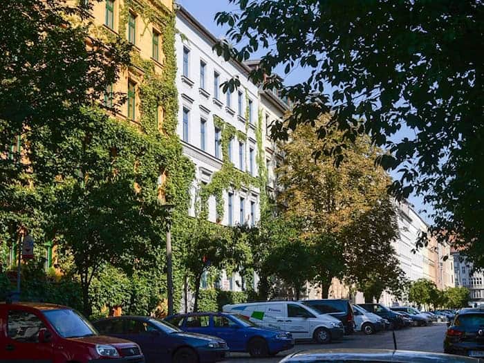 Berlins Bäume brauchen im Sommer Hilfe. (Symbolbild) / Foto: Jens Kalaene/dpa-Zentralbild/dpa