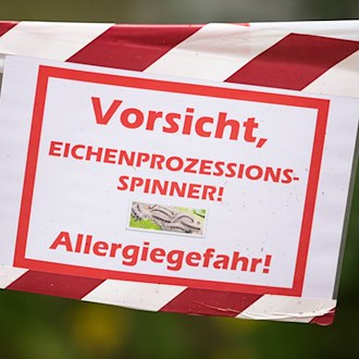 Ein Schild warnt vor dem Eichenprozessionsspinner. (Archivbild) / Foto: Friso Gentsch/dpa