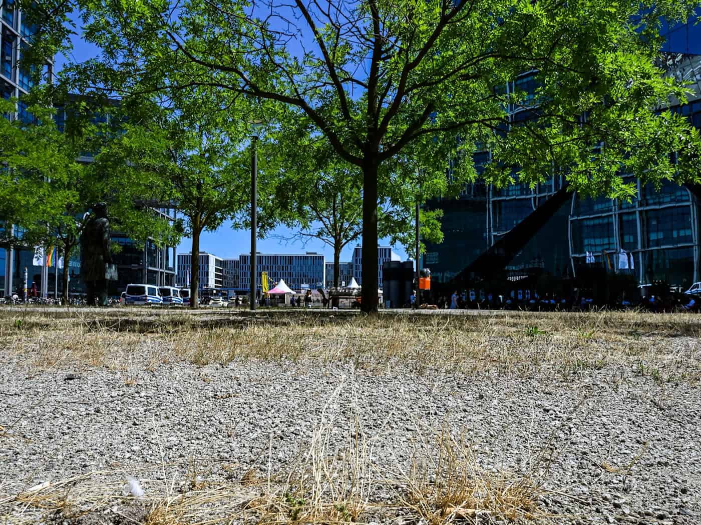 Die Berliner Grünen fordert ein Baumfällmoratorium für die Stadt. (Archivbild) / Foto: Jens Kalaene/dpa