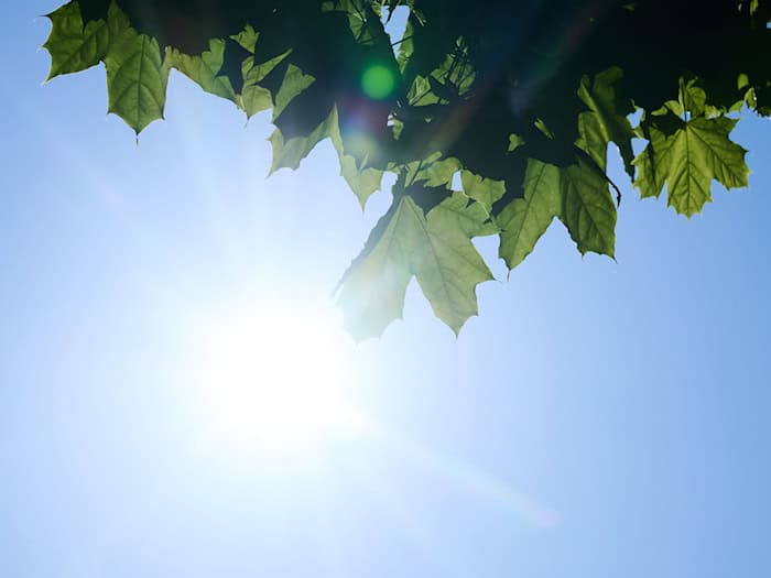 In Berlin und Brandenburg werden weiterhin hohe Temperaturen erwartet. (Symbolbild) / Foto: Annette Riedl/dpa