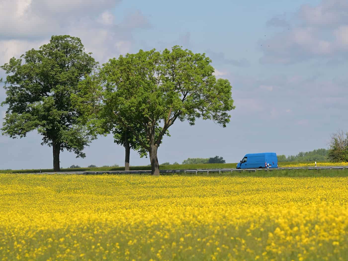Mit den sommerlichen Temperaturen sind aber auch Gewitter möglich: Von der Prignitz bis zum Fläming kann es in der Nacht zum Mittwoch zu einzelnen Gewittern mit Starkregen und Sturmböen kommen. (Archivbild) / Foto: Michael Bahlo/dpa