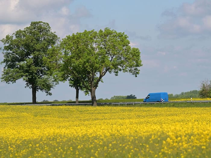 Mit den sommerlichen Temperaturen sind aber auch Gewitter möglich: Von der Prignitz bis zum Fläming kann es in der Nacht zum Mittwoch zu einzelnen Gewittern mit Starkregen und Sturmböen kommen. (Archivbild) / Foto: Michael Bahlo/dpa