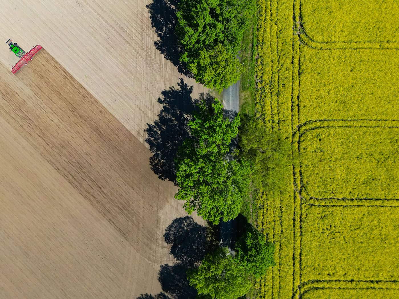 Zur Landpartie werden Tausende Besucher erwartet. (Symbolbild) / Foto: Patrick Pleul/dpa