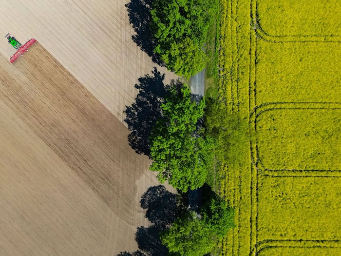 Zur Landpartie werden Tausende Besucher erwartet. (Symbolbild) / Foto: Patrick Pleul/dpa