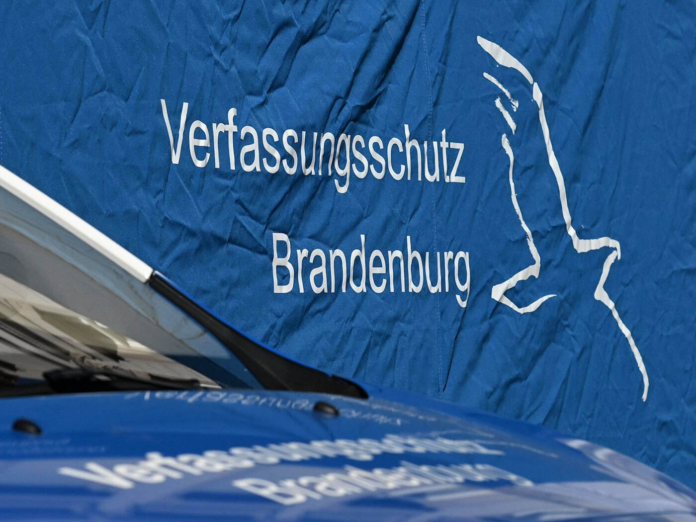 Der Verfassungsschutz warnt vor der Muslimbruderschaft. (Archivbild) / Foto: Jens Kalaene/dpa