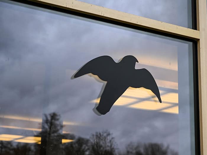 Berliner Senat veröffentlicht Beurteilungshilfe gegen Vogelschlag an Gebäuden
