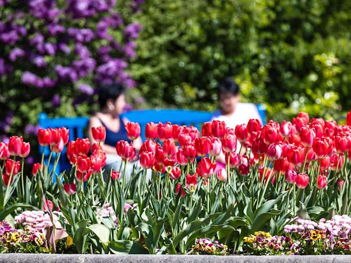 Der Montag bringt der Hauptstadtregion einen angenehmen Sommertag. (Illustration) / Foto: Frank Hammerschmidt/dpa