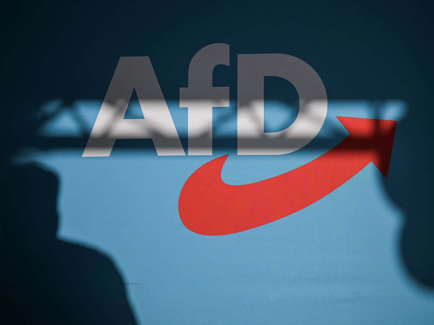 Ein Gutachten einer Gruppe von Experten hat die Debatte über ein AfD-Verbotsverfahren erneut angestoßen. (Symbolbild) / Foto: Hannes P Albert/dpa